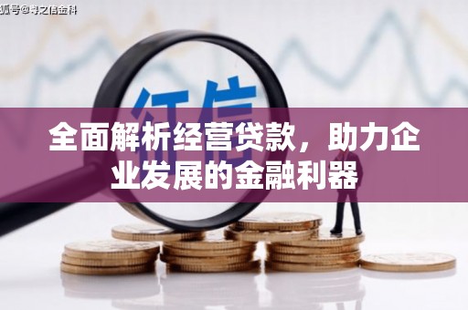 昌都全面解析经营贷款，助力企业发展的金融利器