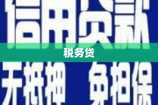 昌都税务贷