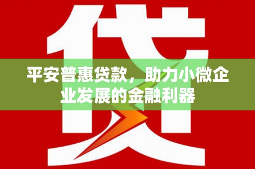 昌都平安普惠贷款，助力小微企业发展的金融利器