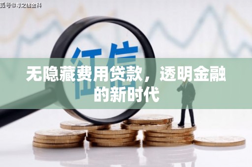 昌都无隐藏费用贷款，透明金融的新时代