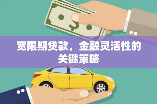 昌都宽限期贷款，金融灵活性的关键策略
