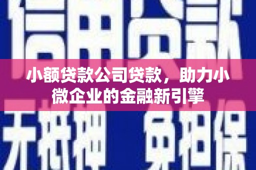 昌都小额贷款公司贷款，助力小微企业的金融新引擎