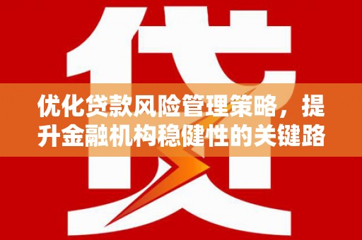 昌都优化贷款风险管理策略，提升金融机构稳健性的关键路径