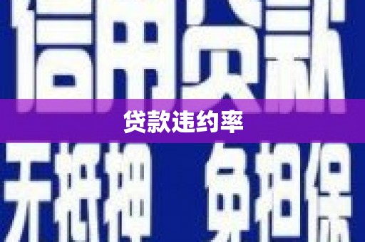 昌都贷款违约率