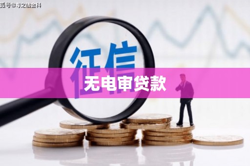 昌都无电审贷款