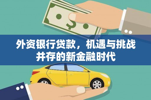 昌都外资银行贷款，机遇与挑战并存的新金融时代
