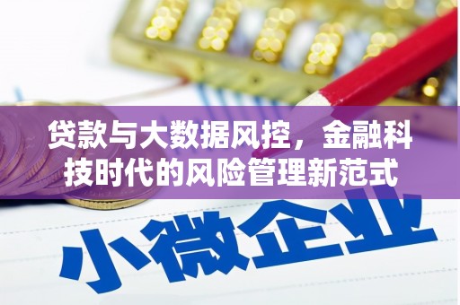 昌都贷款与大数据风控，金融科技时代的风险管理新范式