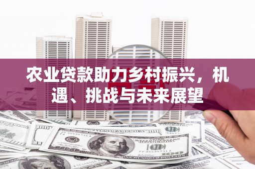 昌都农业贷款助力乡村振兴，机遇、挑战与未来展望