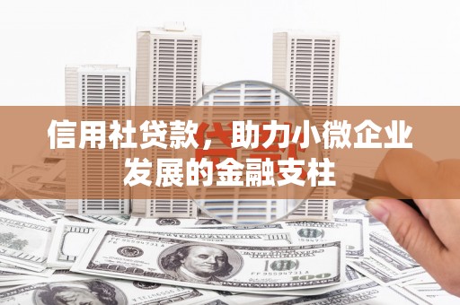 昌都信用社贷款，助力小微企业发展的金融支柱