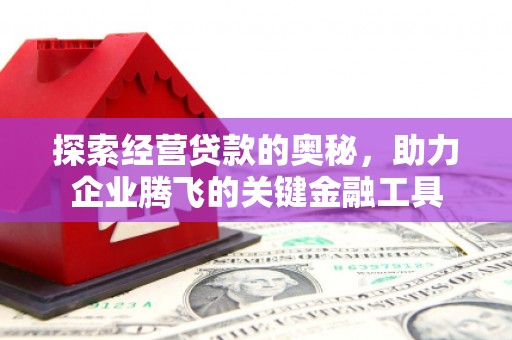 昌都探索经营贷款的奥秘，助力企业腾飞的关键金融工具