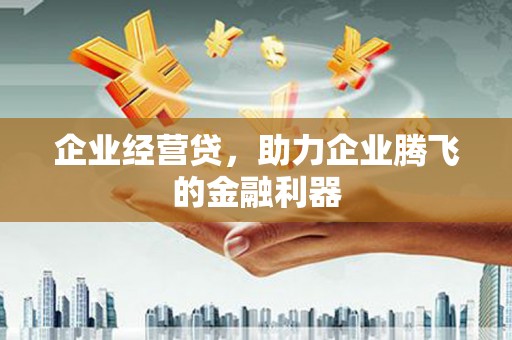 昌都企业经营贷，助力企业腾飞的金融利器
