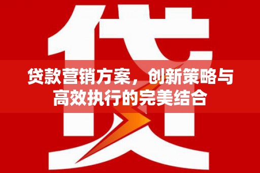昌都贷款营销方案，创新策略与高效执行的完美结合