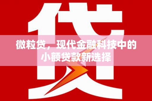 昌都微粒贷，现代金融科技中的小额贷款新选择