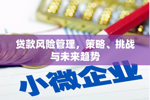 昌都贷款风险管理，策略、挑战与未来趋势