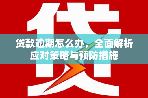 昌都贷款逾期怎么办，全面解析应对策略与预防措施