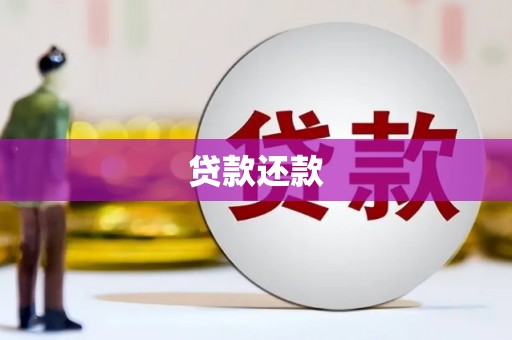 昌都贷款还款