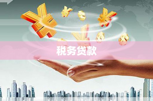 昌都税务贷款