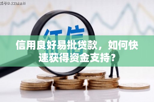 昌都信用良好易批贷款，如何快速获得资金支持？