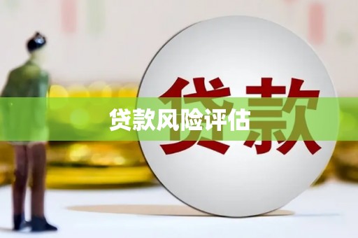 昌都贷款风险评估