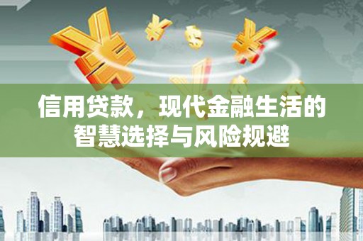 昌都信用贷款，现代金融生活的智慧选择与风险规避