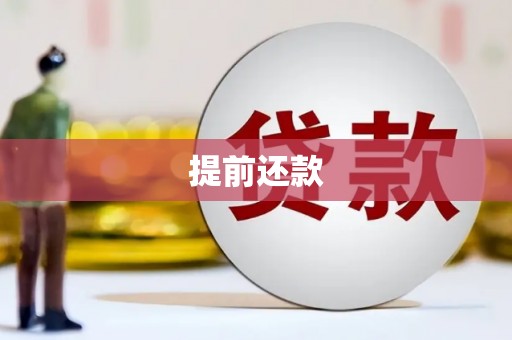 昌都提前还款