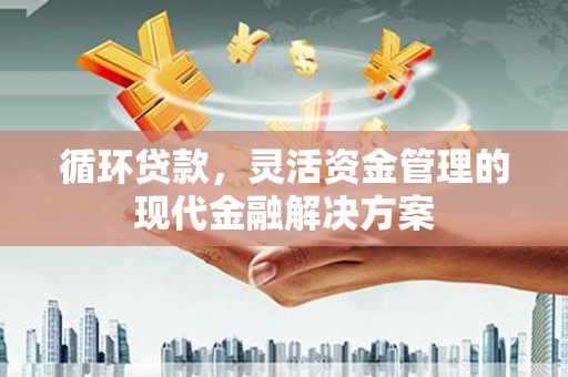 昌都循环贷款，灵活资金管理的现代金融解决方案