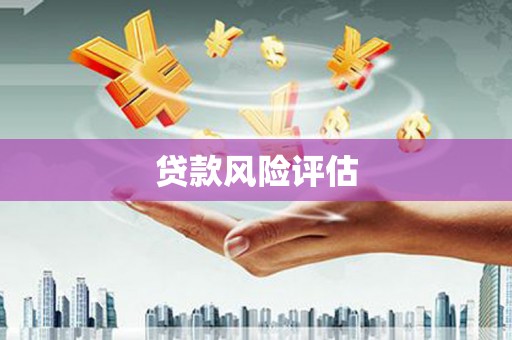 昌都贷款风险评估