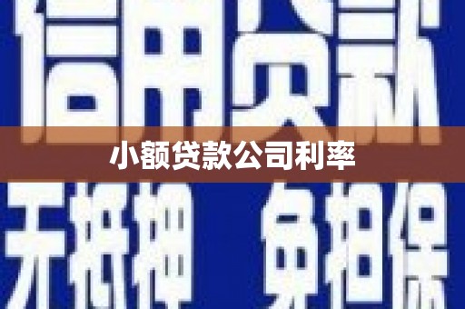 昌都小额贷款公司利率