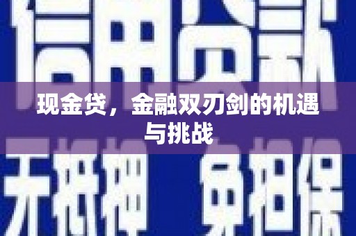 昌都现金贷，金融双刃剑的机遇与挑战