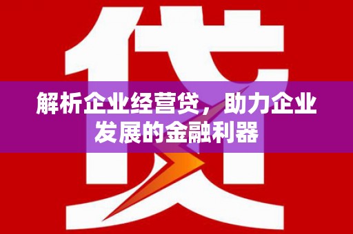 昌都解析企业经营贷，助力企业发展的金融利器