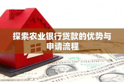昌都探索农业银行贷款的优势与申请流程