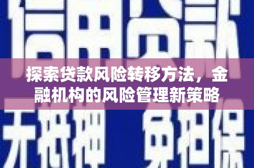 昌都探索贷款风险转移方法，金融机构的风险管理新策略