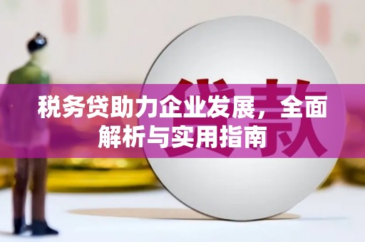昌都税务贷助力企业发展，全面解析与实用指南
