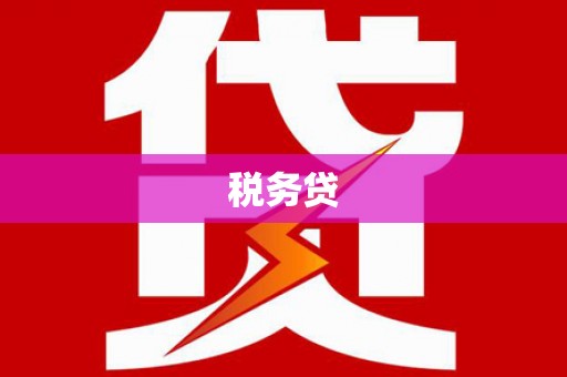 昌都税务贷