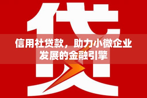 昌都信用社贷款，助力小微企业发展的金融引擎