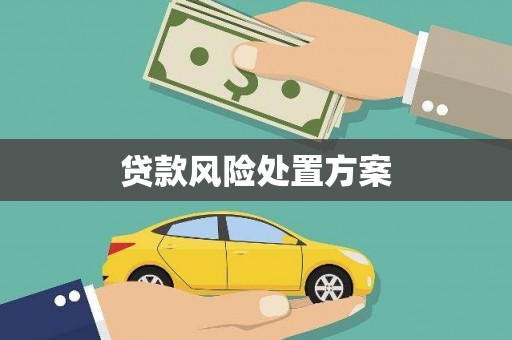 昌都贷款风险处置方案
