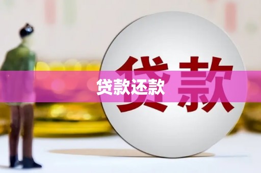 昌都贷款还款