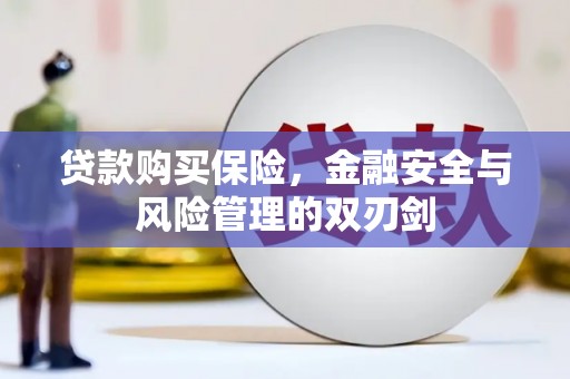 昌都贷款购买保险，金融安全与风险管理的双刃剑