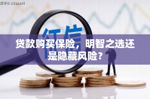 昌都贷款购买保险，明智之选还是隐藏风险？