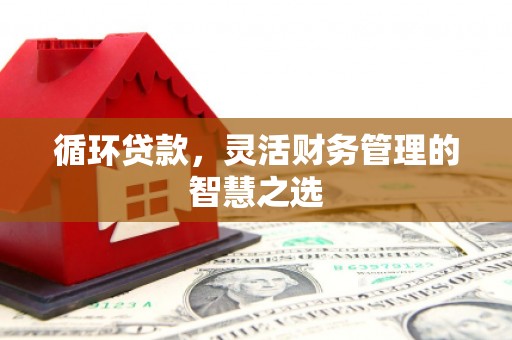 昌都循环贷款，灵活财务管理的智慧之选