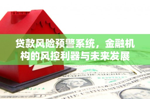 昌都贷款风险预警系统，金融机构的风控利器与未来发展