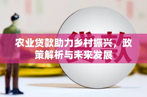 昌都农业贷款助力乡村振兴，政策解析与未来发展