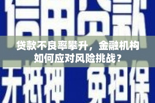 昌都贷款不良率攀升，金融机构如何应对风险挑战？
