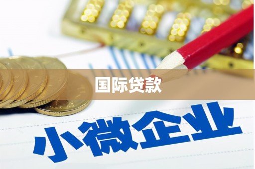 昌都国际贷款
