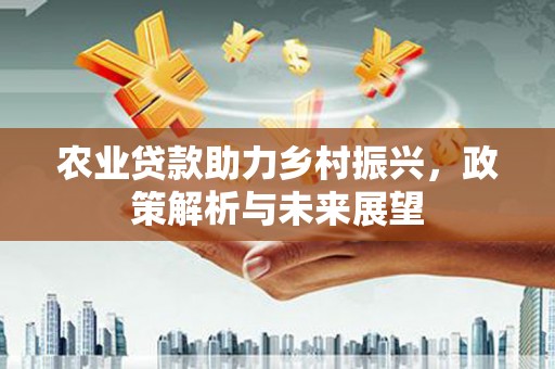昌都农业贷款助力乡村振兴，政策解析与未来展望