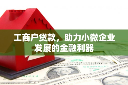 昌都工商户贷款，助力小微企业发展的金融利器