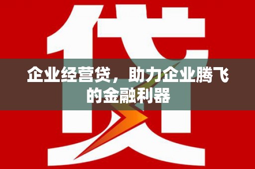 昌都企业经营贷，助力企业腾飞的金融利器