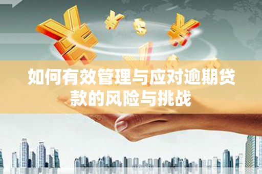 昌都如何有效管理与应对逾期贷款的风险与挑战
