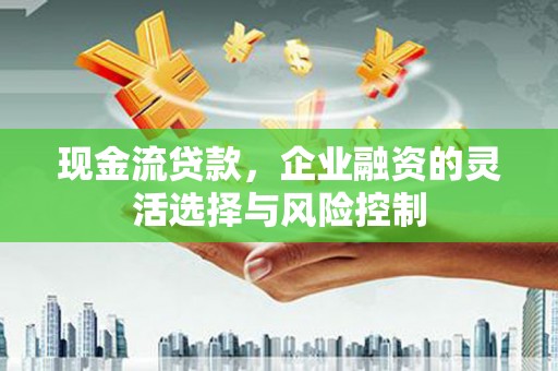 昌都现金流贷款，企业融资的灵活选择与风险控制