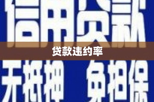 昌都贷款违约率